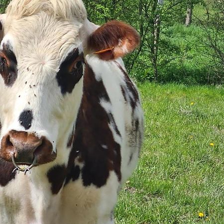 Roulotte A La Ferme Buissonniere Villa La Lande-de-Louge Eksteriør bilde