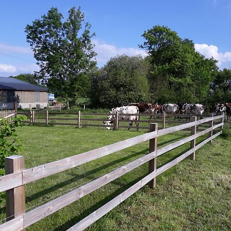 Roulotte A La Ferme Buissonniere Villa La Lande-de-Louge Eksteriør bilde